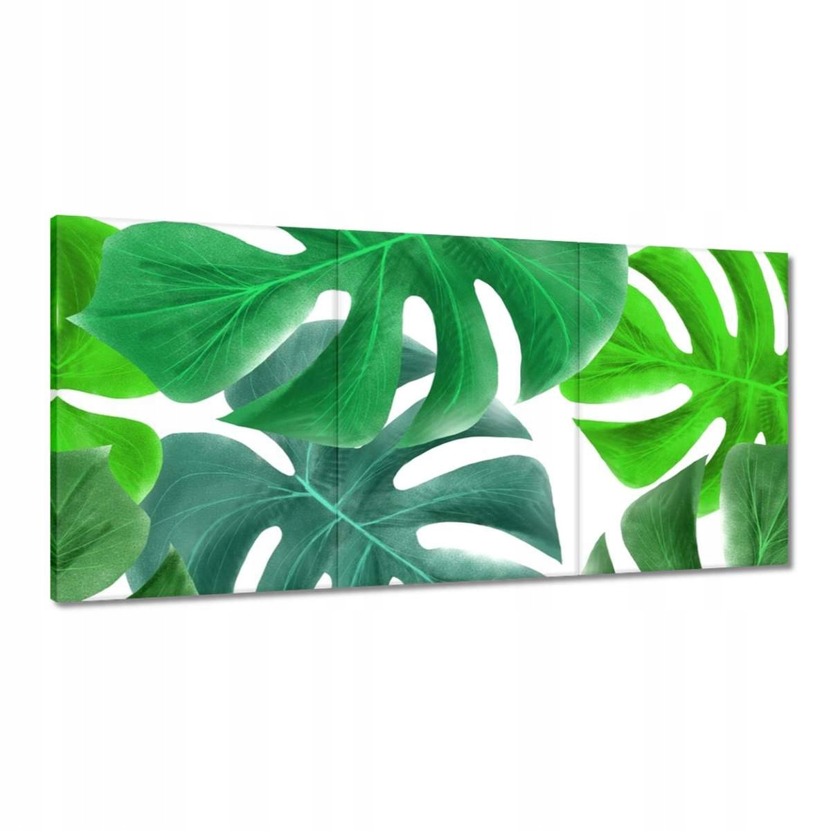 Obrazy 180x90 Listy Monstery Tropické