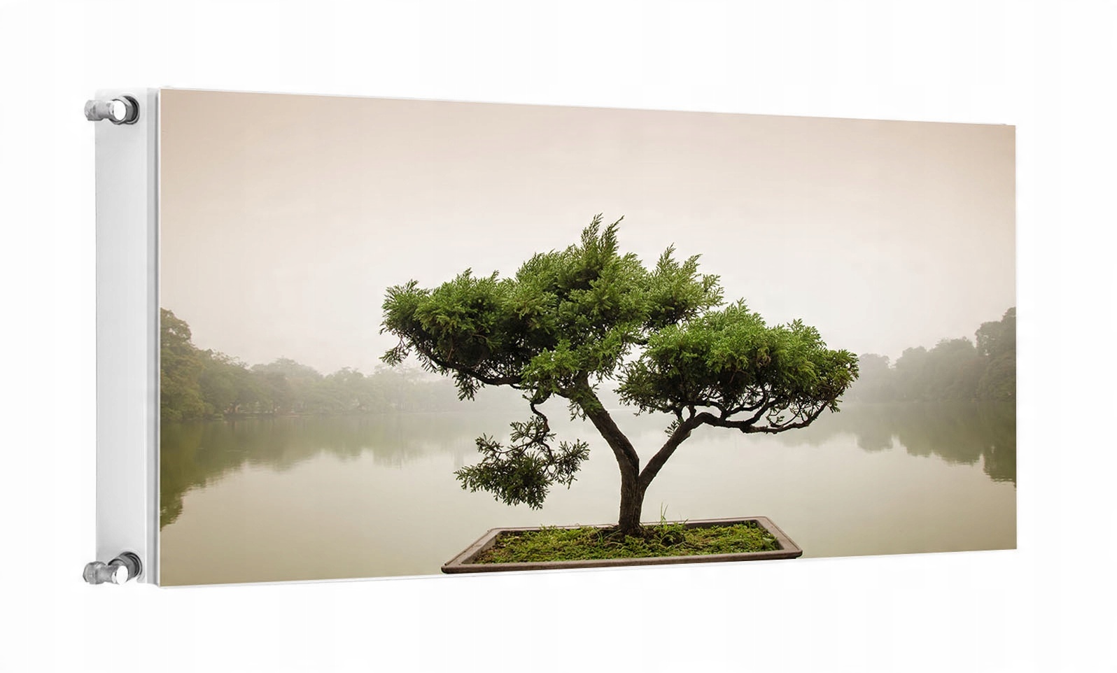 

Magnes Mata Magnetyczna Na Grzejnik 120x60 Drzewo