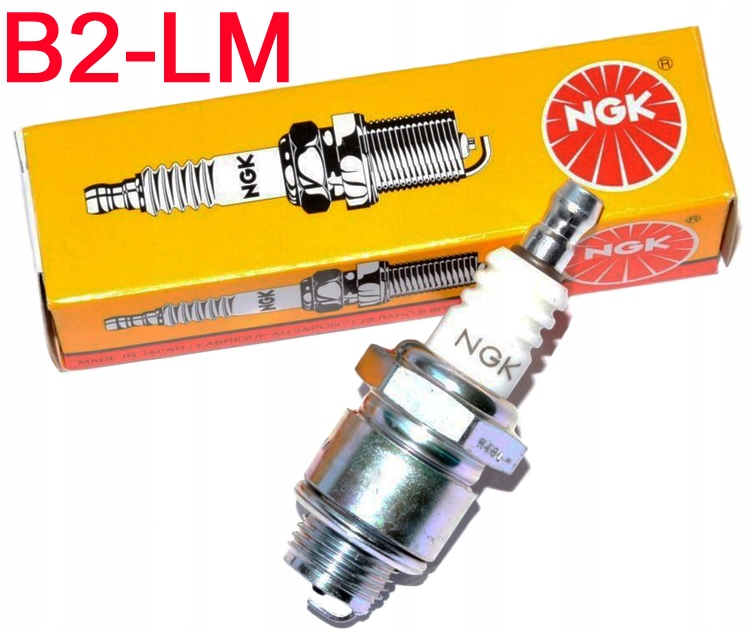 OLEJ BRIGGS SAE30 0,6L DO KOSIARKI+ FILTR POWIETRZA ŚWIECA ZESTAW SERWISOWY Typ olej