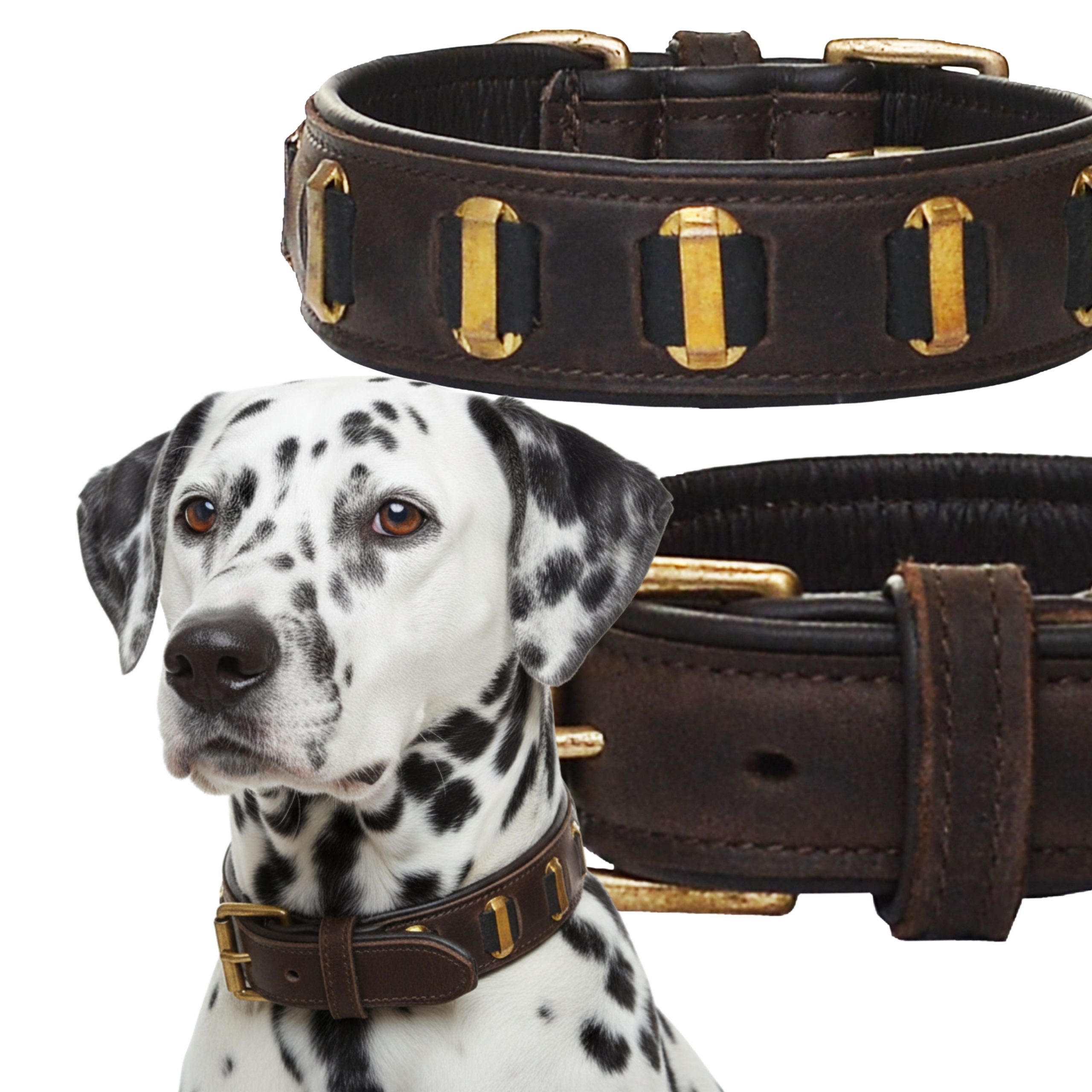 Levně Kožený obojek pro Velkého psa L 65 cm Hnědá Pevná Vintage Patina