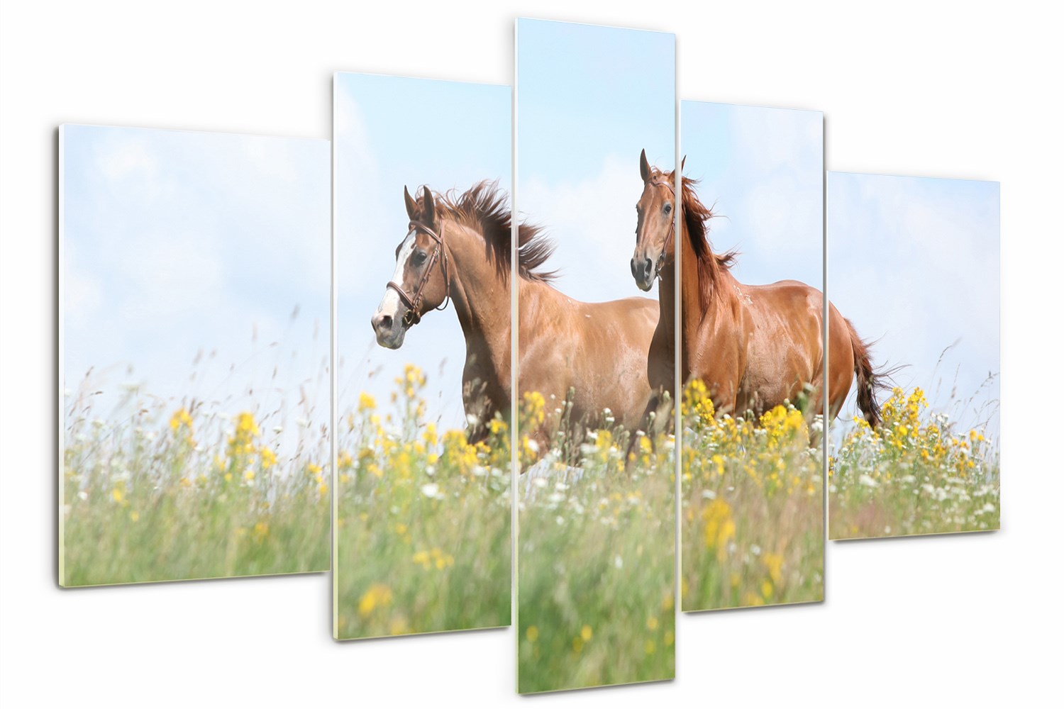 

Foto Obraz szklany tryptyk Dwa konie w galopie
