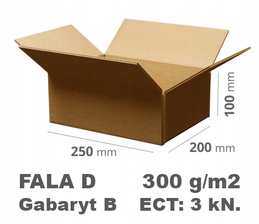 200x Pudło klapowe 250x200x100 mm szare 300 g/m2 D Gabaryt B