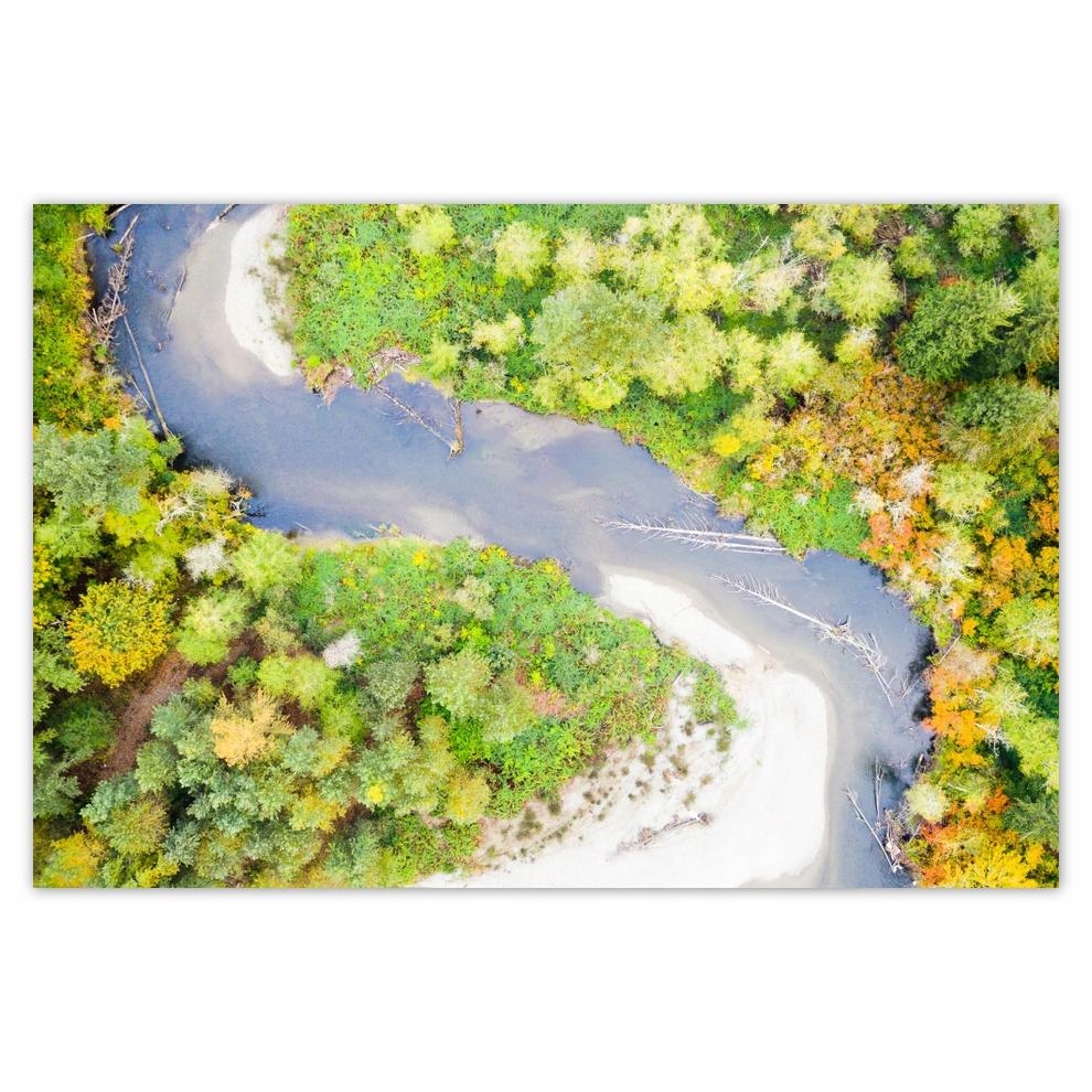 

Plakaty 60x40 Kręta droga Las Jesień