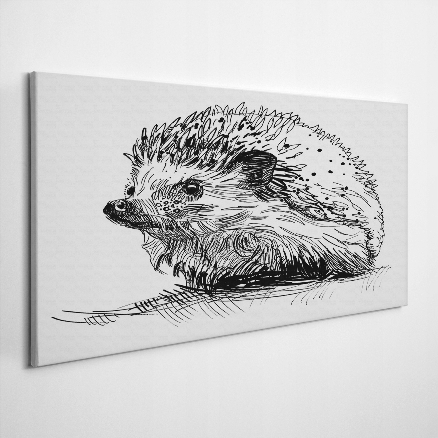 

Foto-obraz z zdjęciem Jeż Zwierzę Sztuka 100x50 cm
