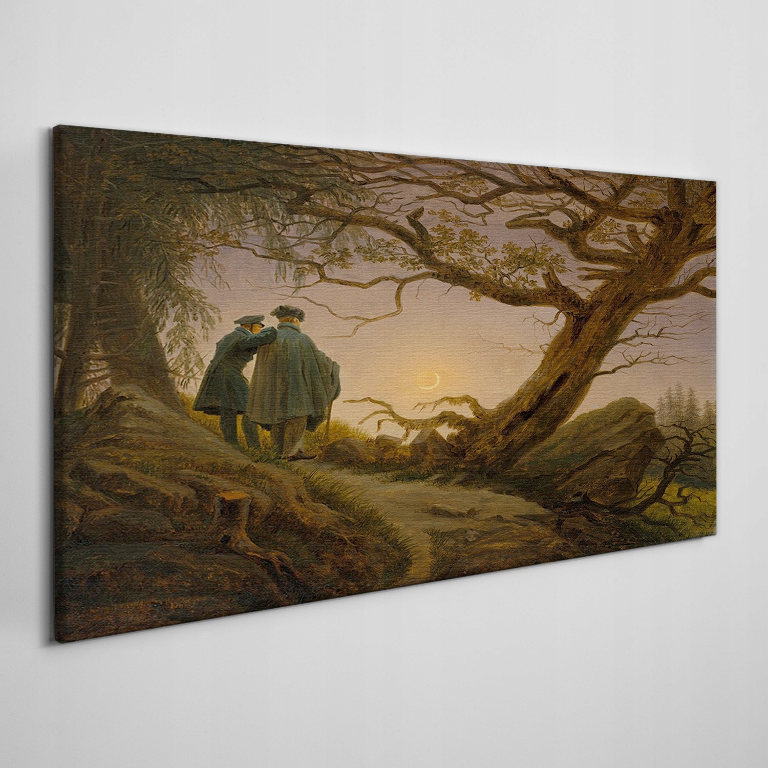 

Obraz na płótnie Las skała słońce przyroda 120x60