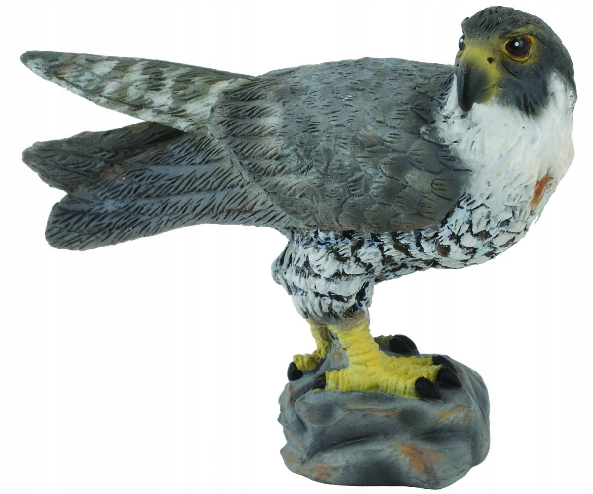 

Sokół Peregrine Falcon CollectA 88399