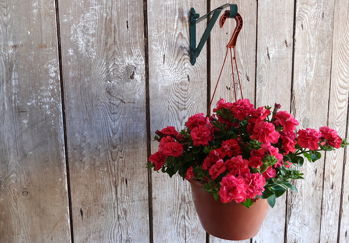 Hak na doniczki balkonowe ścienny do doniczki balkonowej WIESZAKI 5 SZT Kod producenta doniczka balkonowa rabatowa kaskada