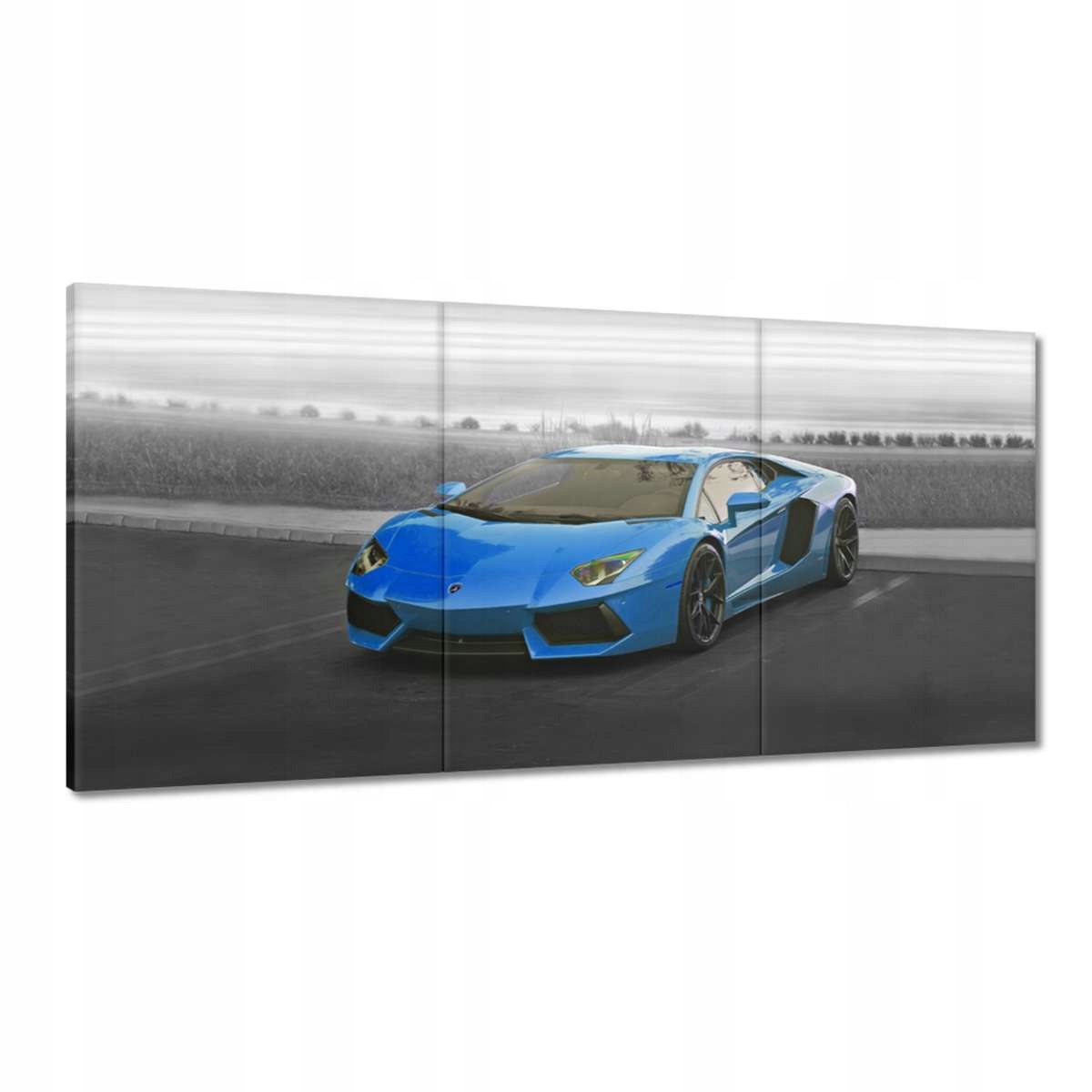 Obrazy 180x90 Sporotové auto