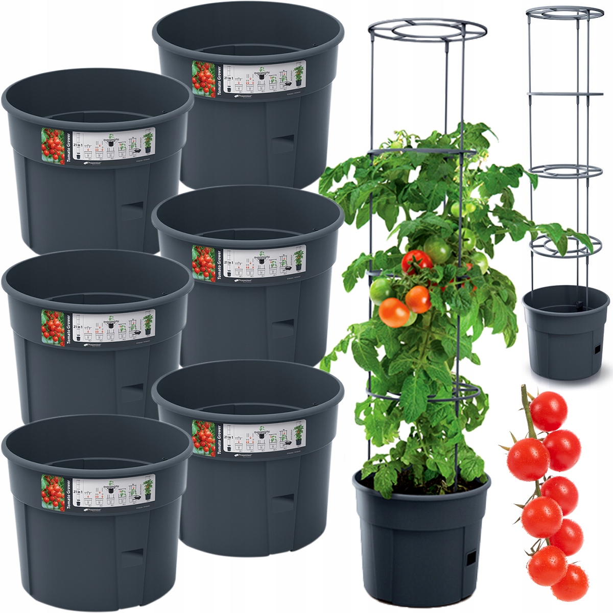 

Zestaw x6 Doniczka Planter Uprawy Pomidorów Donica