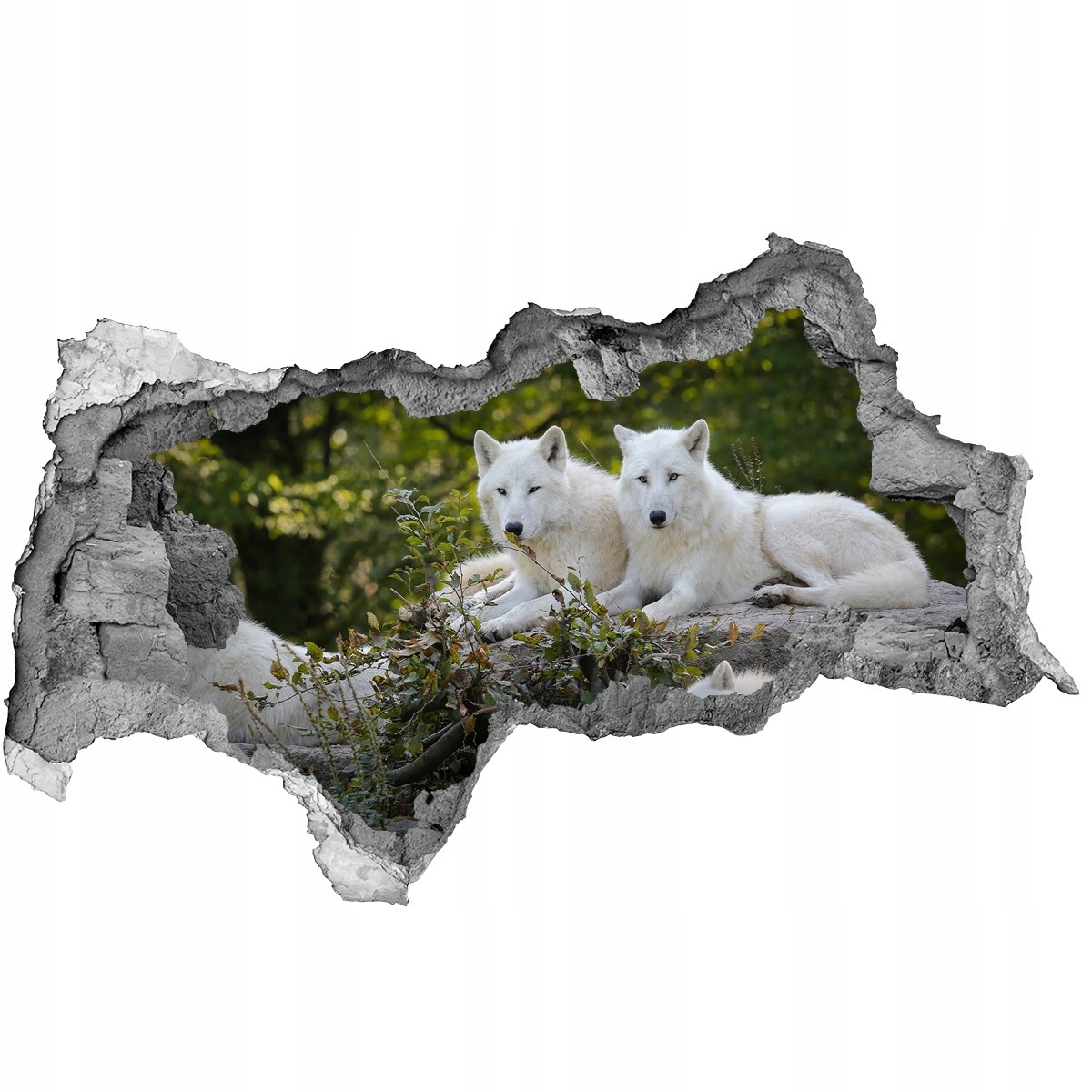 

Dziura 3d foto tapeta Naklejka Białe wilki skała