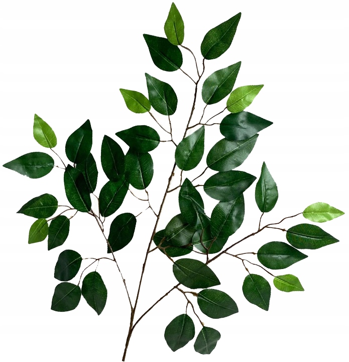 

Liść Sztuczny Fikus Benjamin Gałązka Dekoracyjna