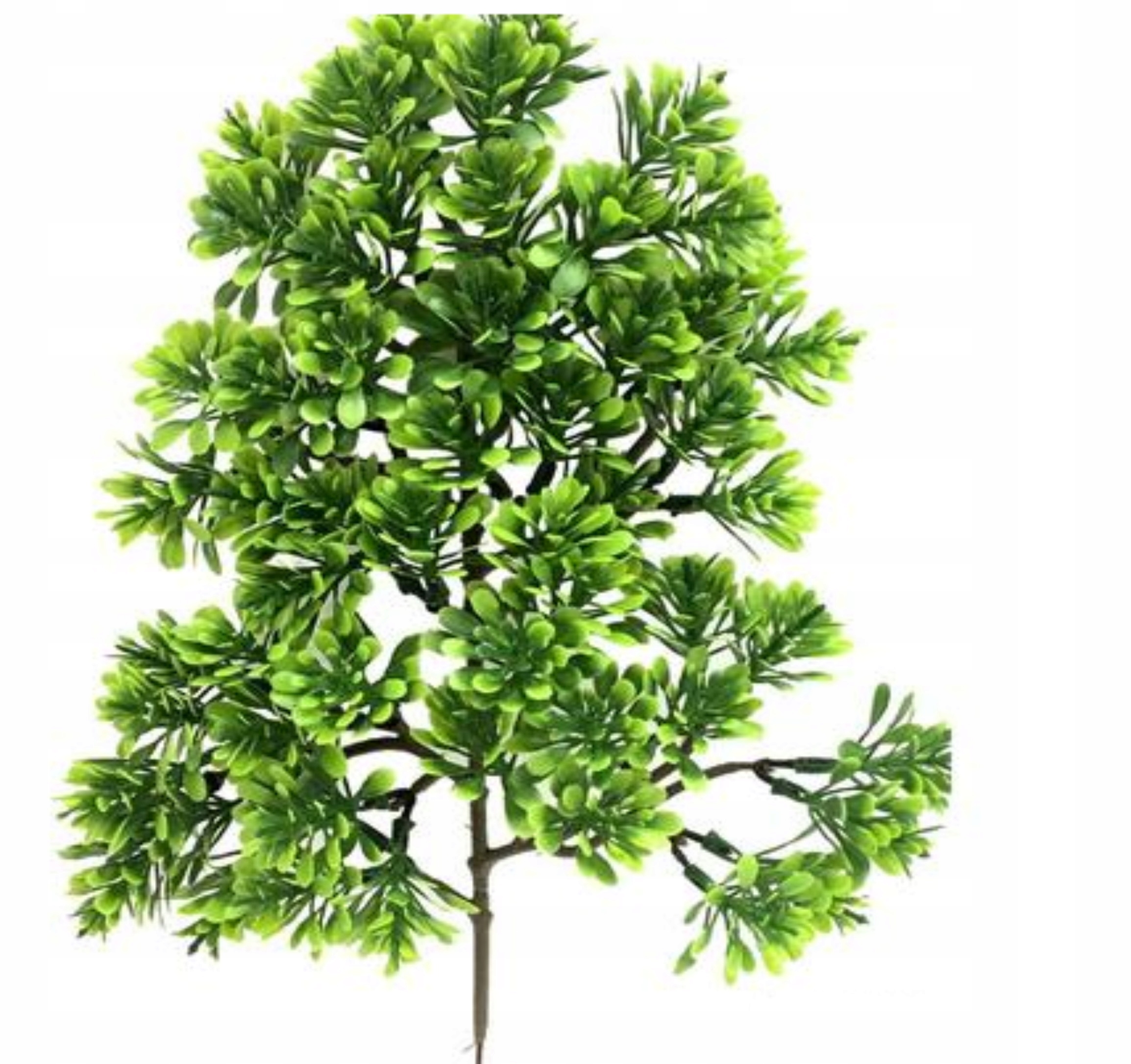 

Gałązka Bonsai Sukulent 33cm