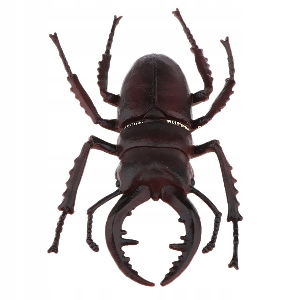 Simulation Insects Figure Model High Sand Worm