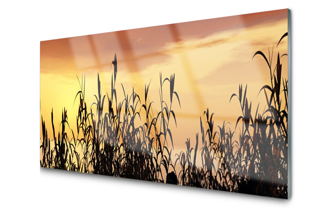 

Panel szklany Płytka Liście Zachód Łąka 140x70