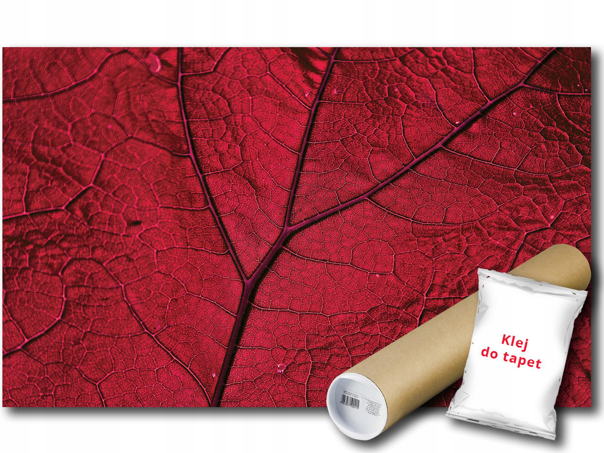 Vinylová Fototapeta Červený List Makro Rostlinnost Příroda 208x146