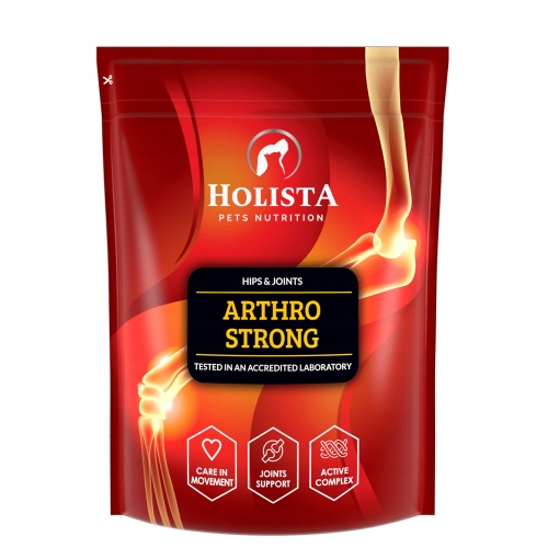 Holista Arthro Strong suplement na stawy dla psów 600g