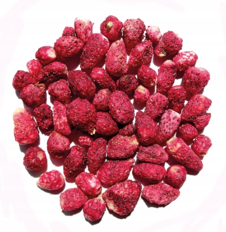 Levně Liofilizovaná Lesní Jahoda 100 g