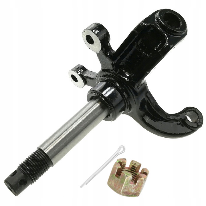 

Zwrotnica Lewa Przód Bashan Atv Quad 200 250