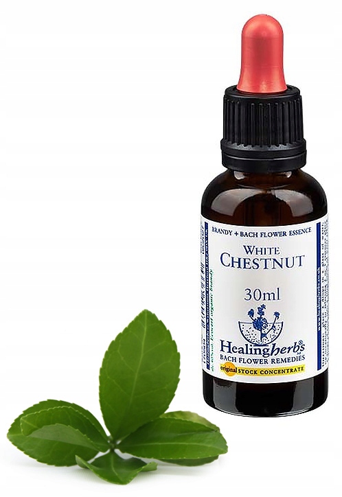 Esencja Dr Bacha nr 35. White Chestnut Kasztanowiec zwyczajny 30 ml