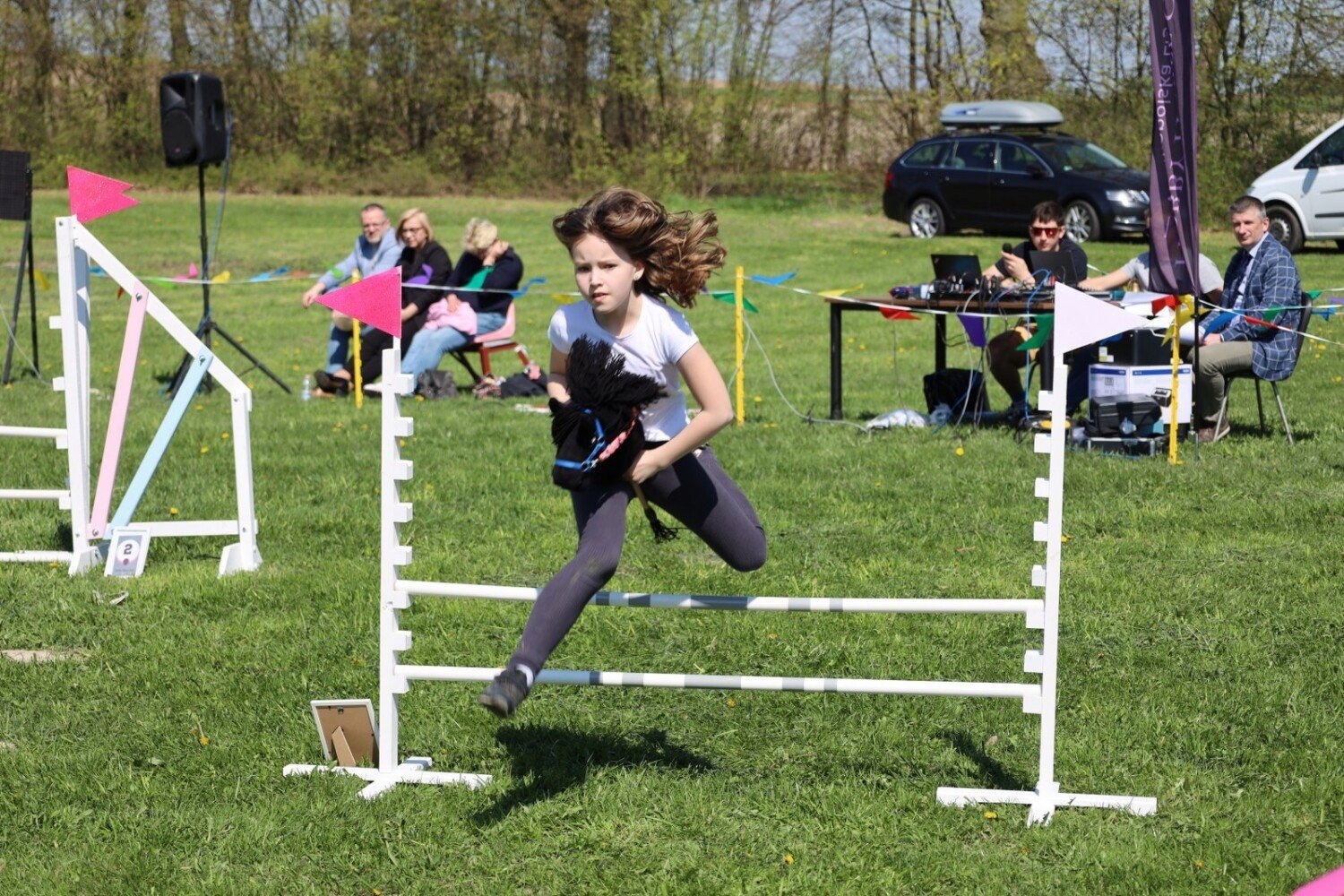 HOBBY HORSE GŁOWA KONIA NA KIJU PLUSZOWY KONIK CZARNY ODGŁOSY KONIA Płeć chłopcy dziewczynki