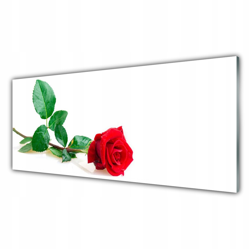 

Obraz na ścianę 125x50 Róża Kwiat Roślina Natura