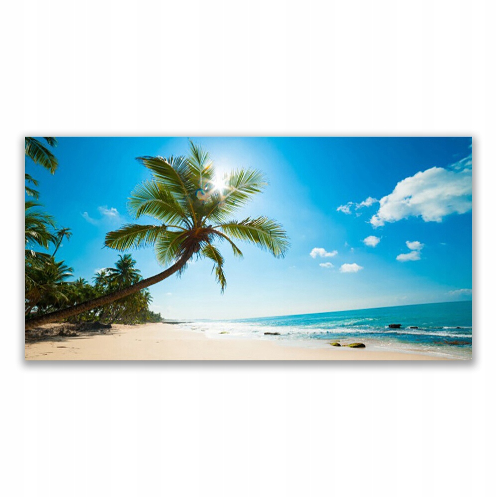 

Obraz akrylowy 120x60 Palma Drzewo Plaża Krajobraz