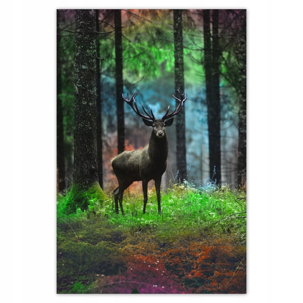 

Plakat samoprzylepny 40x60 Jeleń w bajecznym lesie