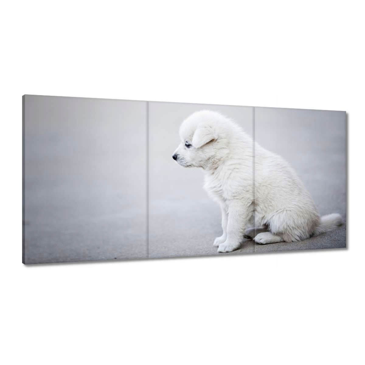 Obrazy 180x90 Sympatické šteniatko