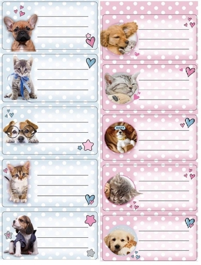 

Naklejki na zeszyty The Sweet Pets Kids