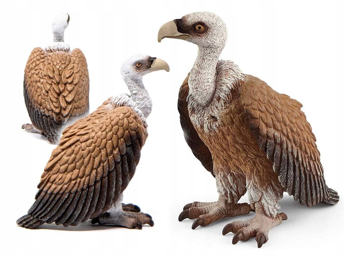 

Schleich 14847 Sęp Wild Life Figurka Zwierzęta