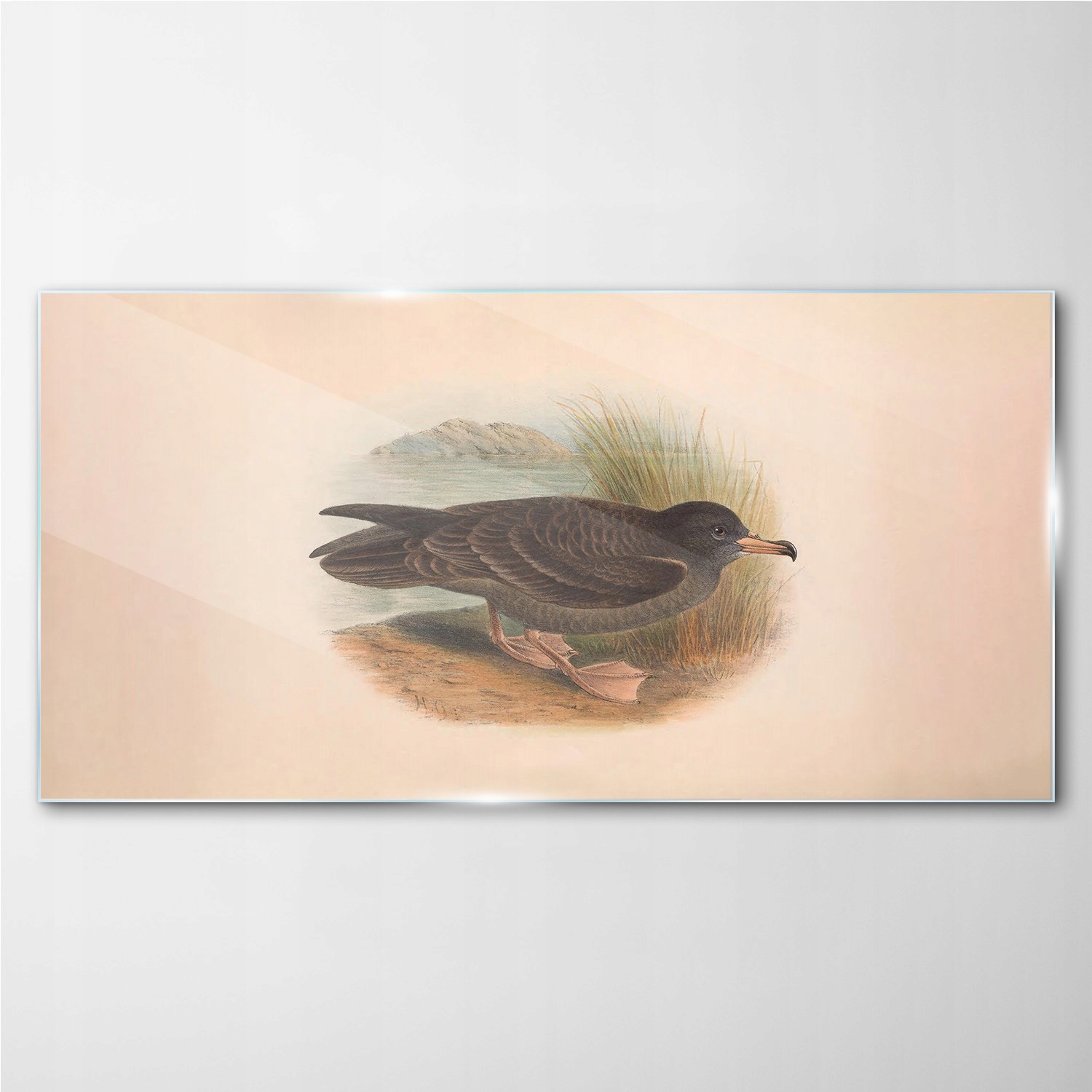 

Szklany obraz na ścianę Ptaki zwierzęta 120x60 cm