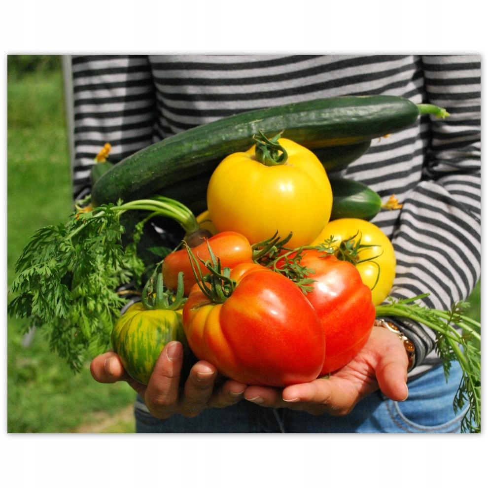 

Plakat 50x40 Kuchenne Obrazy Rewolucje