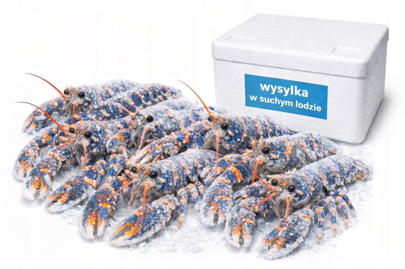 Homarzec 17/20 [0]Lepidlo 700 g Seacon [0]Suchý led