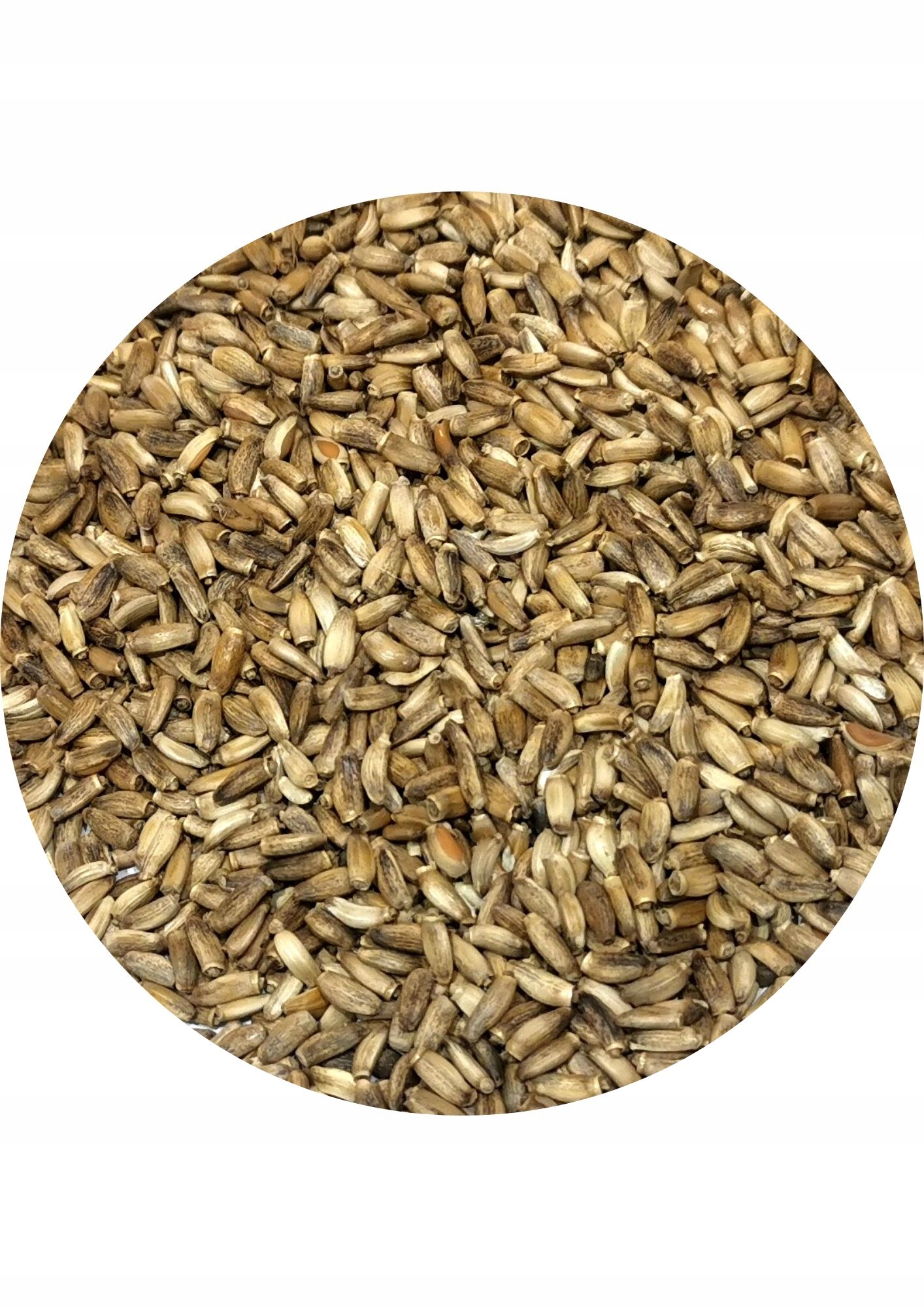 Ostropest Plamisty 10kg