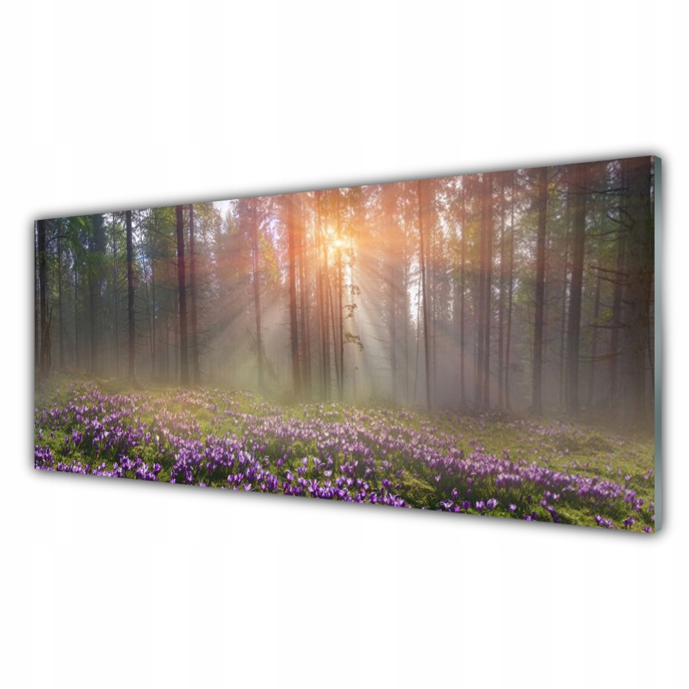 

Fotoobraz wiszący 125x50 Las Kwiaty Roślina Natura