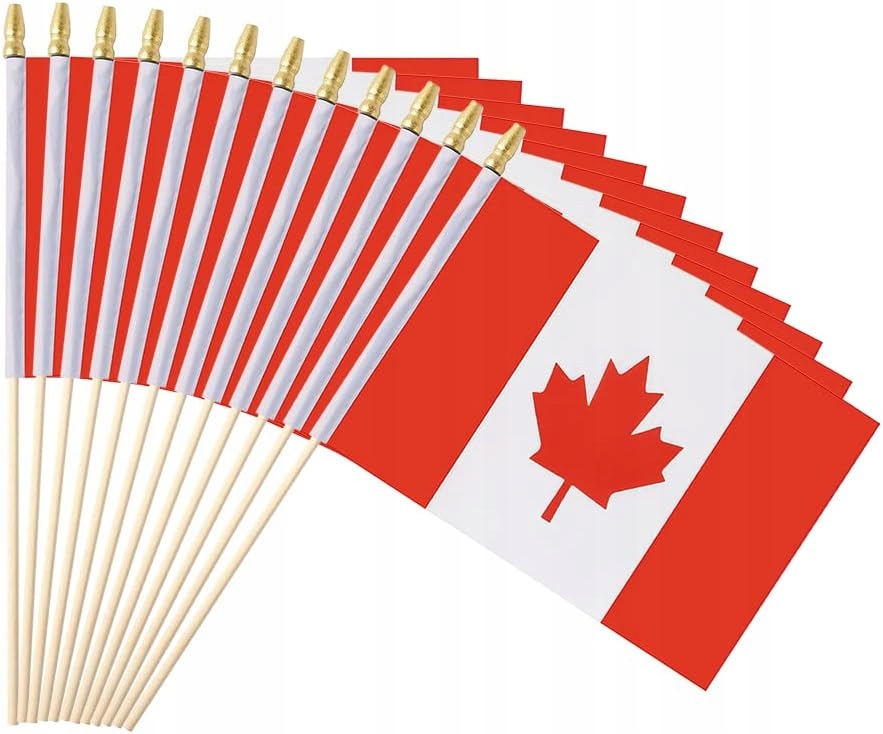 100 SZT. MAŁY CZECHY POLSKA SŁOWACJA FLAGA RĘCZNA MINI FLAGA NA PATYKU