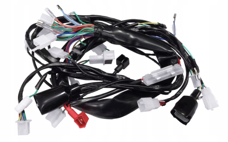 MOR.19.650 - Электропроводка для мопеда Fighter 1