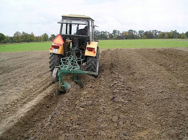 LEMIESZ KLEPANY DO PŁUGA 2 i 3 SKIBOWEGO PŁUG POLSKI + ŚRUBY 3 OTWOROWY Producent części GE