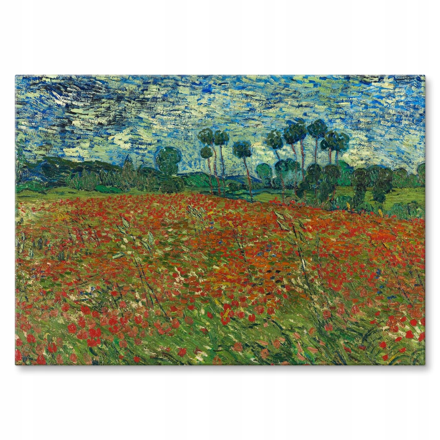 Kovový plakát Poppy field van Gogh Szyld Plech 30 x 42 cm Dárek