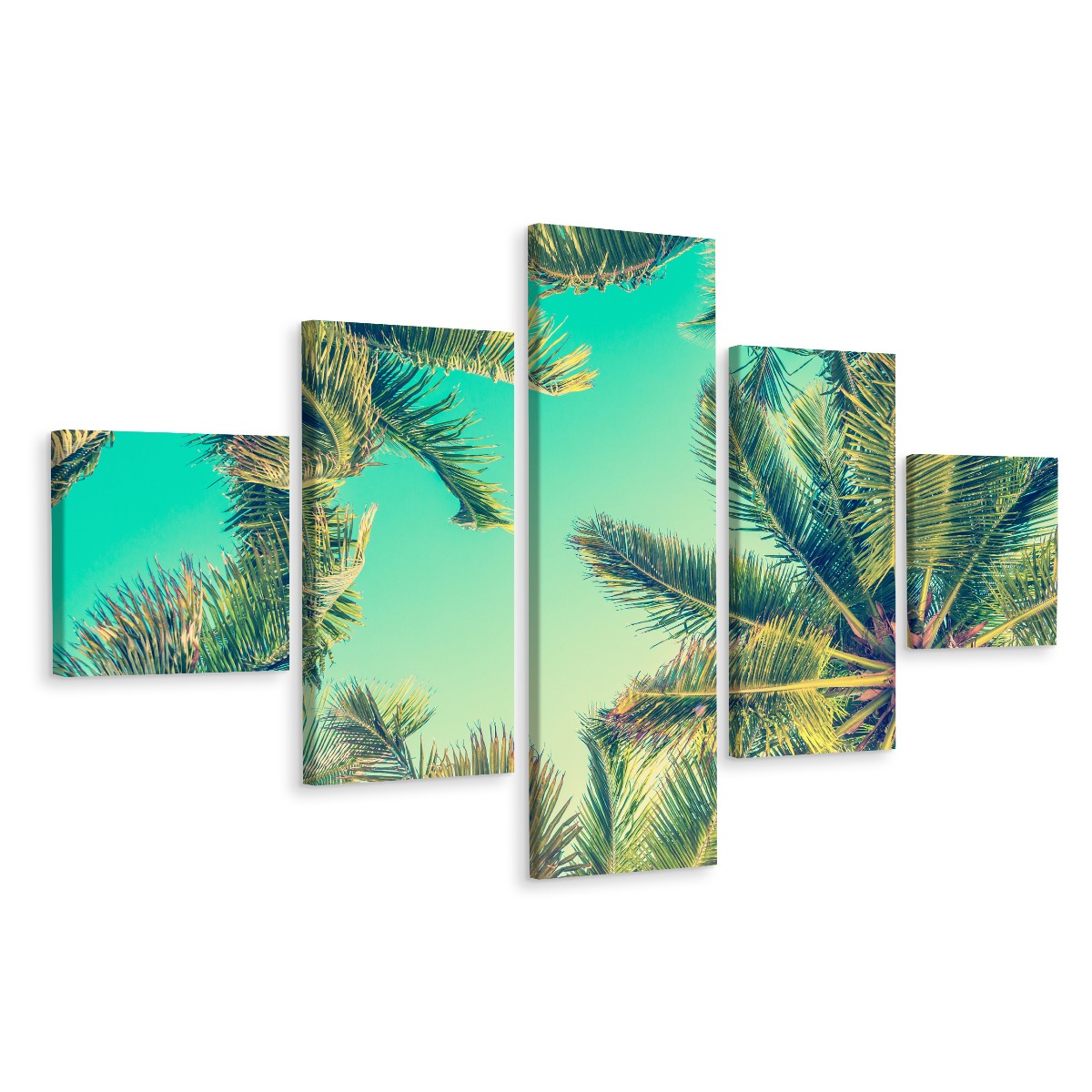 Obraz 5 Częściowy Liście Palmy Widok 3D 250x150