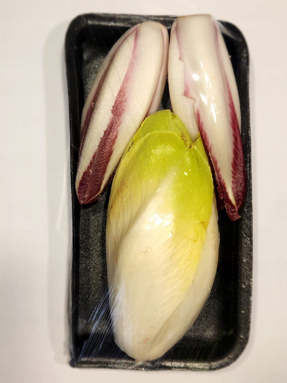 cykoria świeża mix