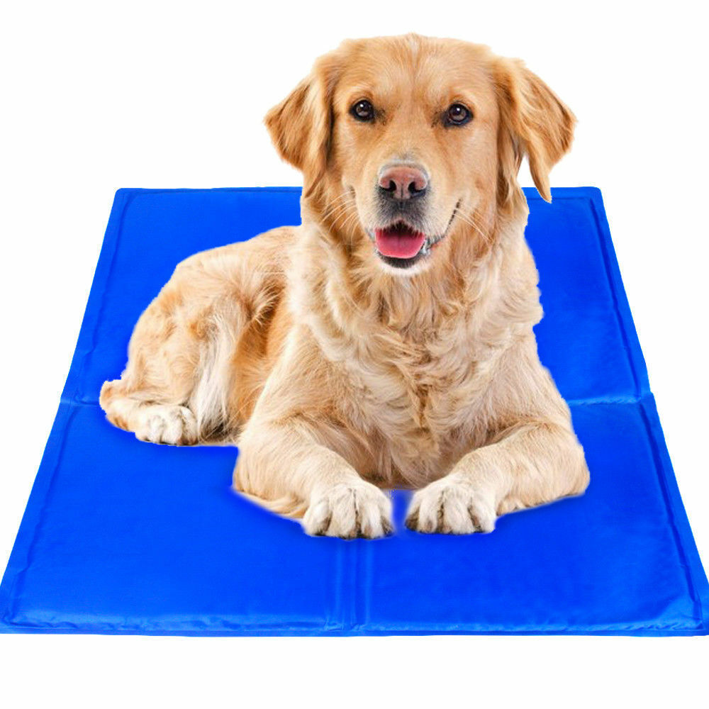 Levně Chladící Podložka pro psa kočku a zvířata 65x50 cm