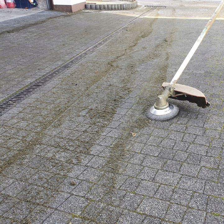 SZCZOTKA TARCZA GŁOWICA DO KOSY CZYSZCZENIA 200/25,4 KOSA Typ szczotka do kosy