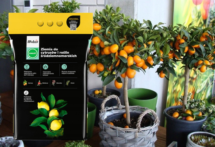 Ziemia do CYTRUSÓW I ROŚLIN ŚRÓDZIEMNOMORSKICH 20L Marka Wokas