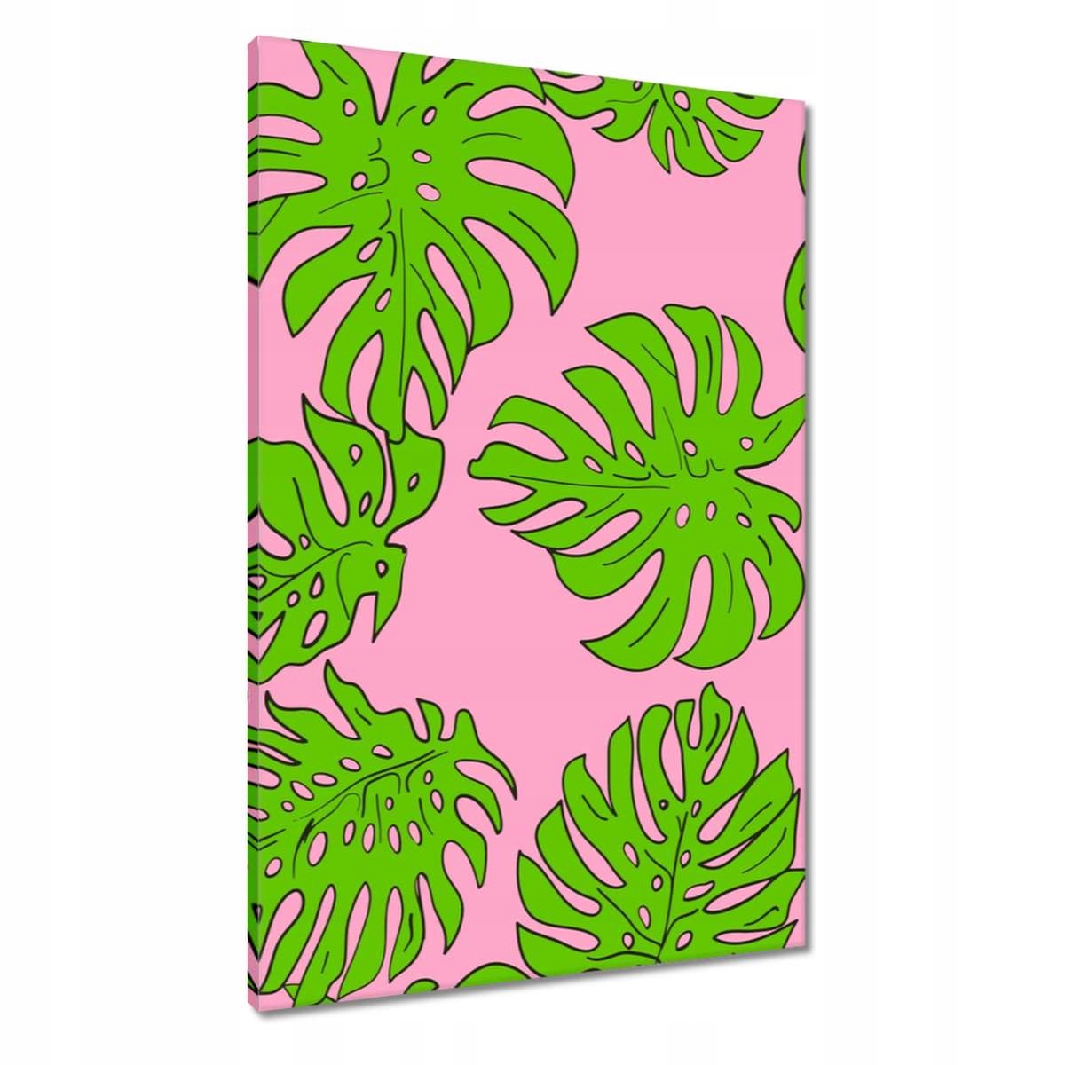 Obrazy 60x90 Monstera Zelená Růže