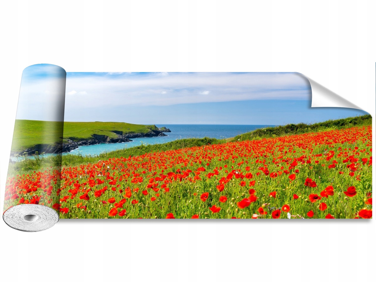 

Fototapeta Samoprzylepna Pole maków 250x104