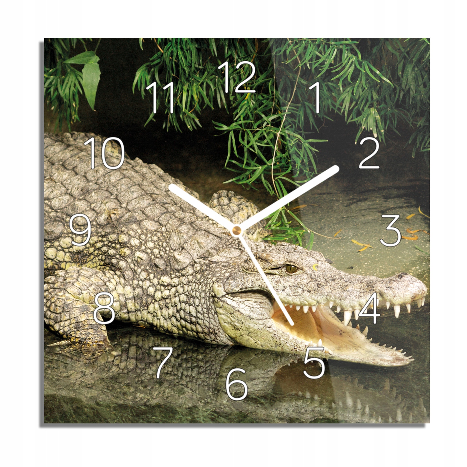 Aligator krokodýl hodiny na skle do ložnice 30x30