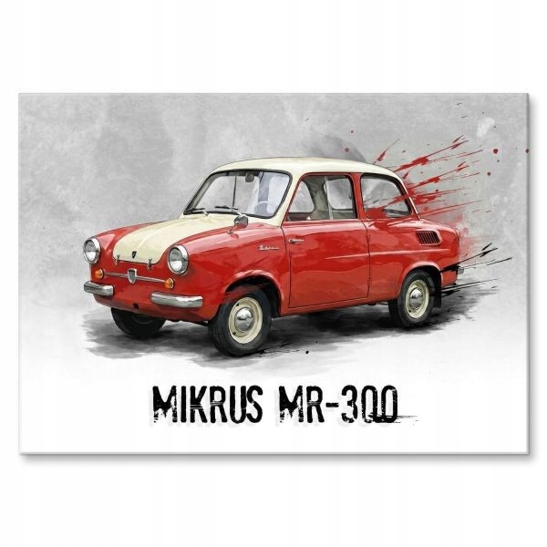 Velký kovový plech Auto Mikrus MR-300 Prl do garážového pokoje dílny