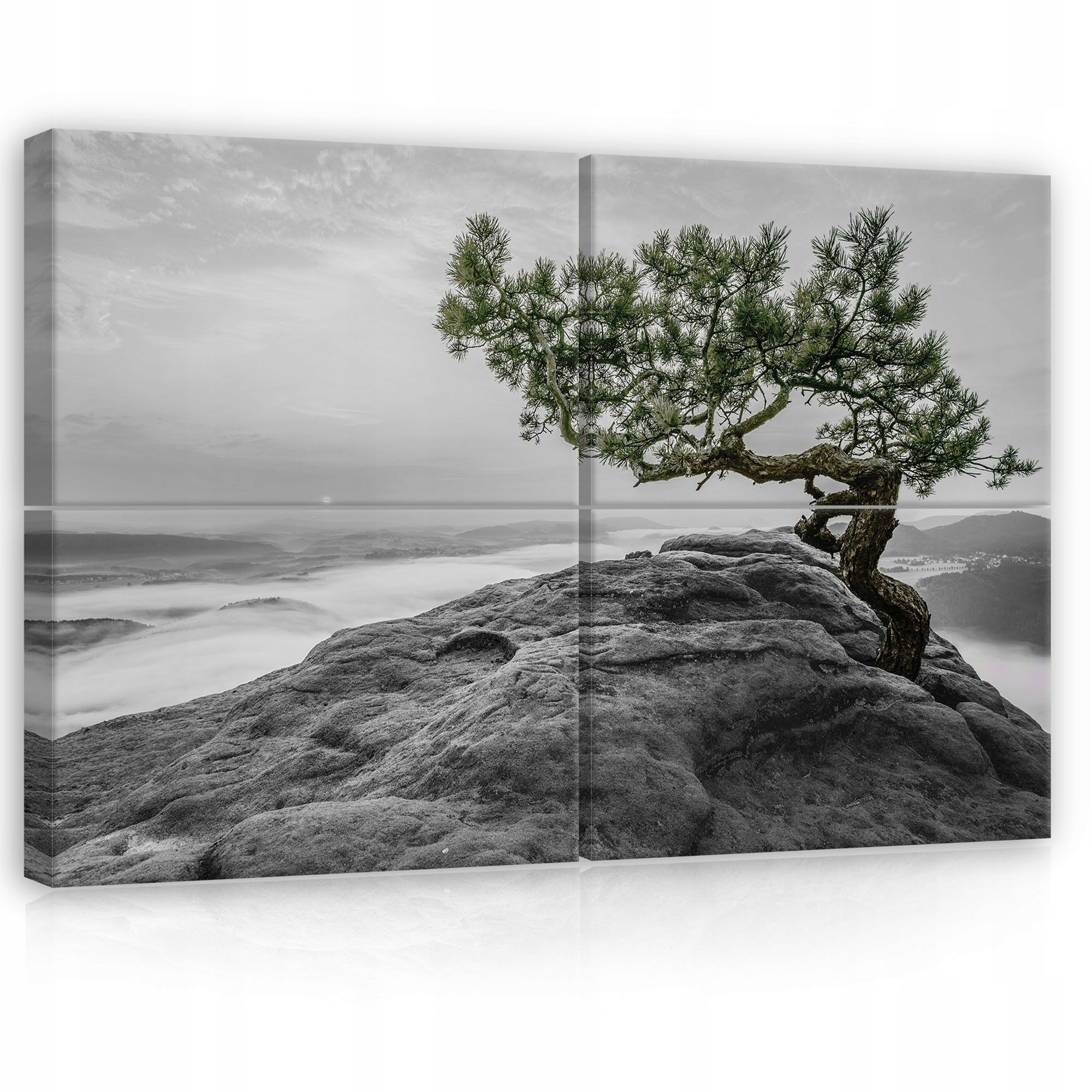 Obraz 120x80 skala strom hmla hory krajina čierno-biela príroda pokoj