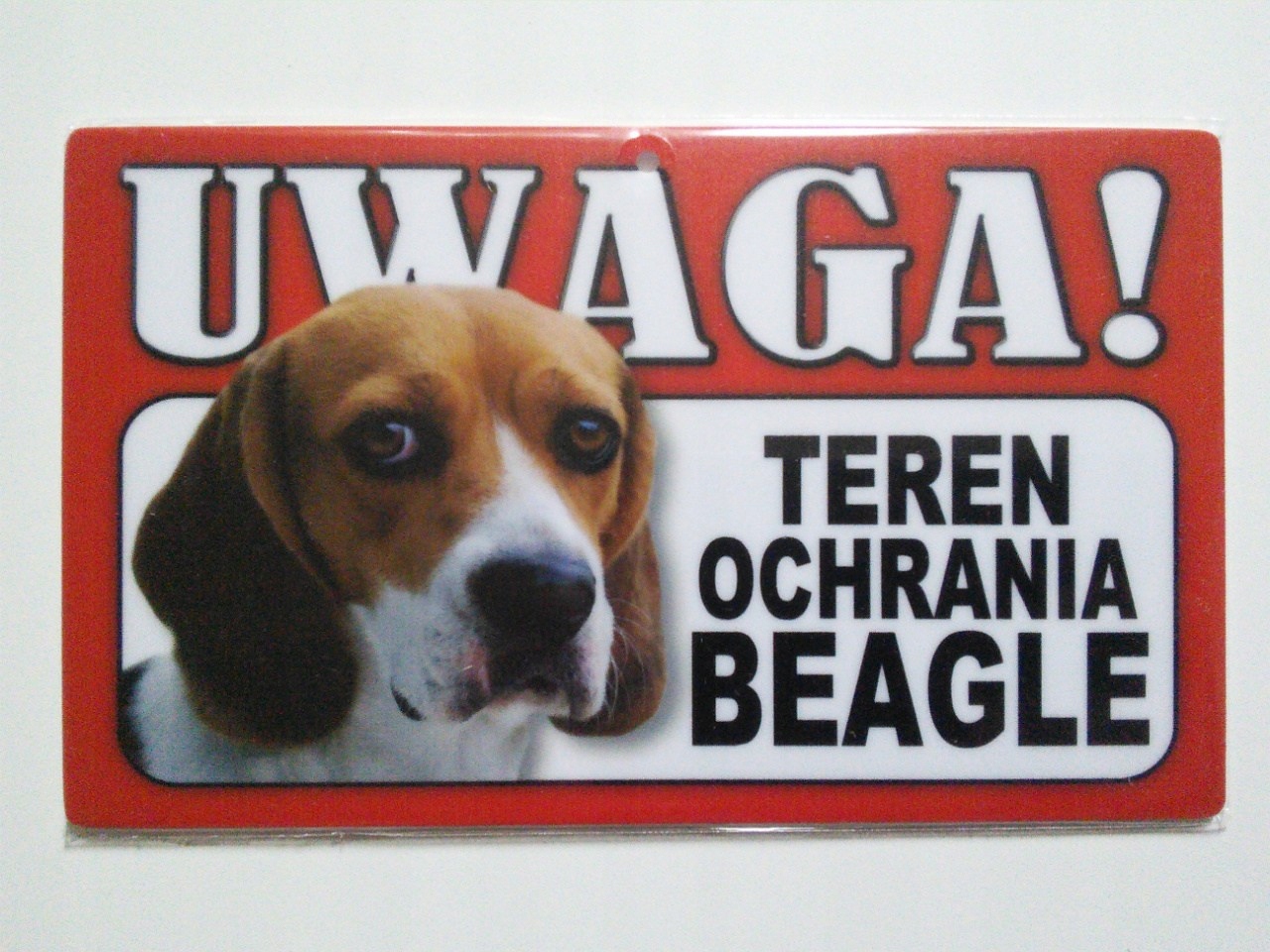 

Tabliczka ostrzegawcza Uwaga Teren Ochrania Beagle